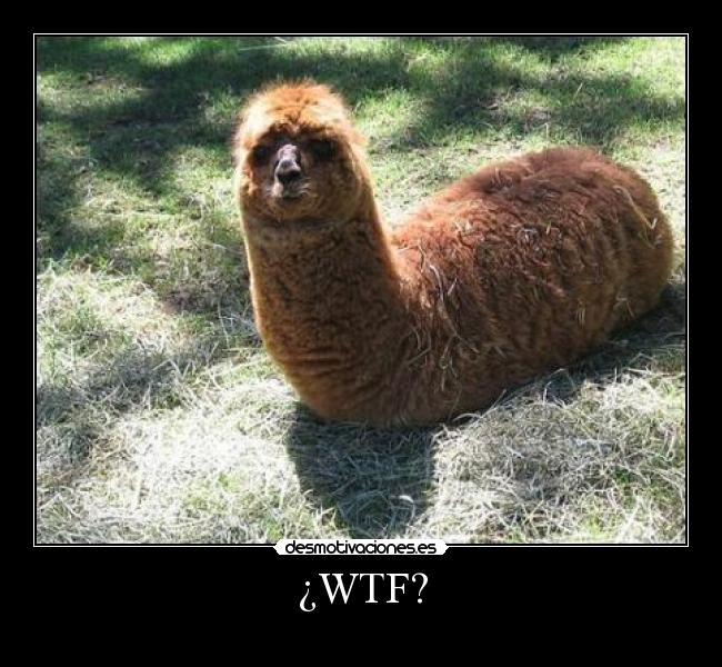 carteles yuanki desmotivaciones