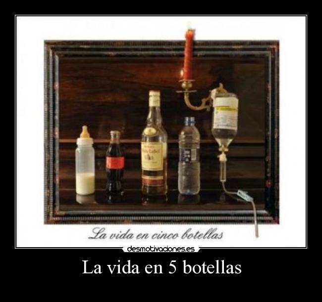 La vida en 5 botellas - 