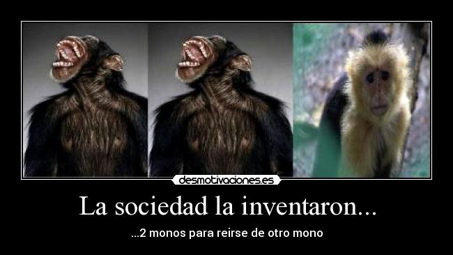 La sociedad la inventaron... - ...2 monos para reirse de otro mono
