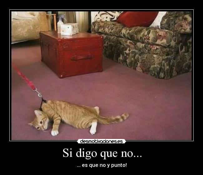 Si digo que no... - ... es que no y punto!