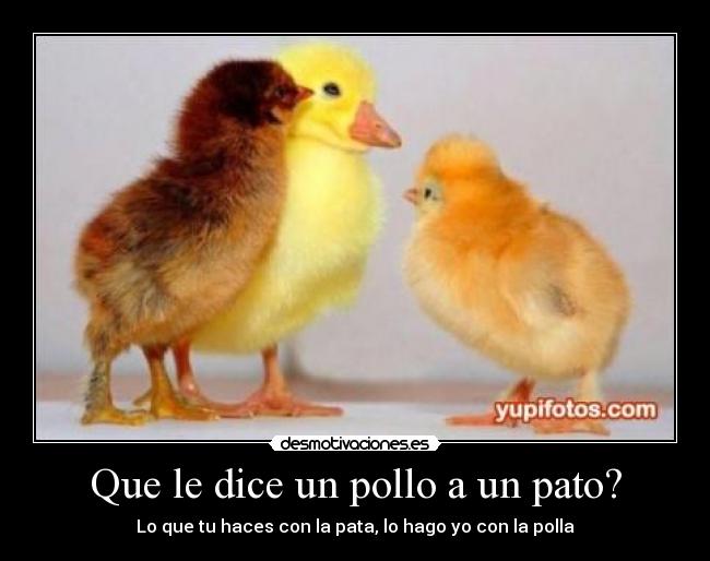 carteles desmotivaciones