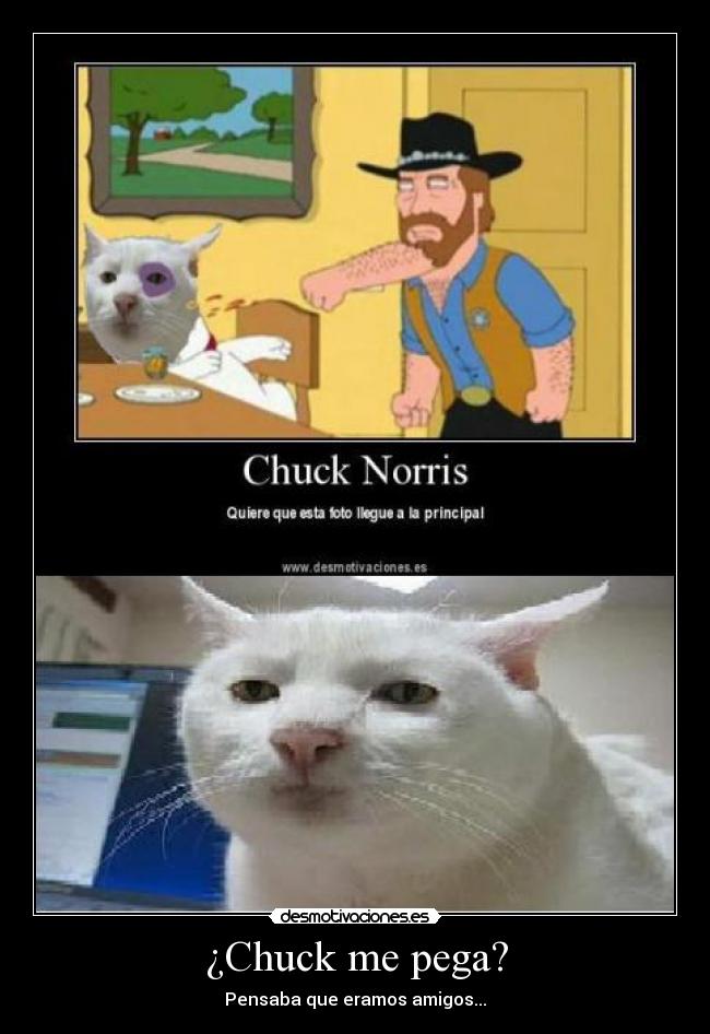 ¿Chuck me pega? - Pensaba que eramos amigos...
