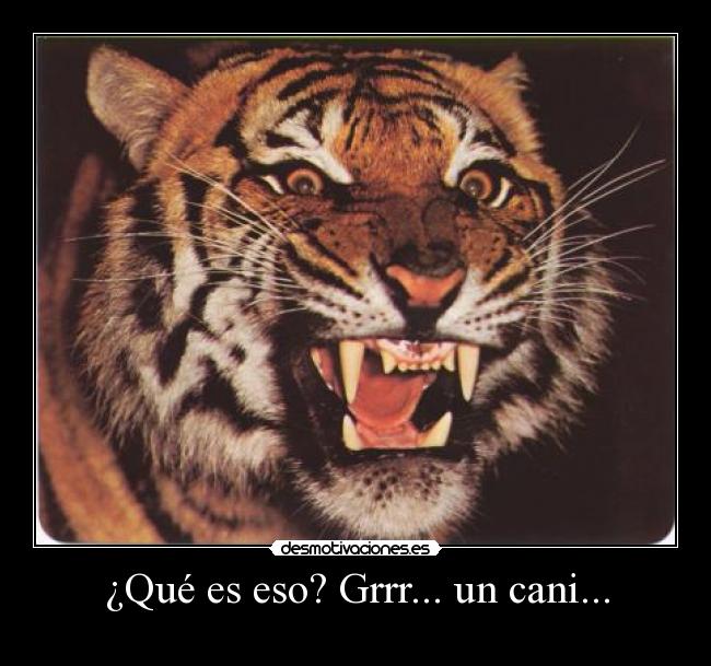 ¿Qué es eso? Grrr... un cani... - 