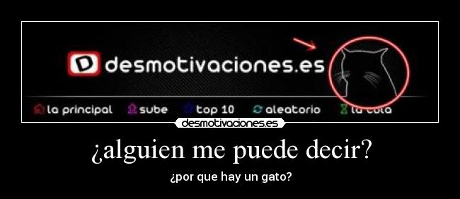 ¿alguien me puede decir? - ¿por que hay un gato?