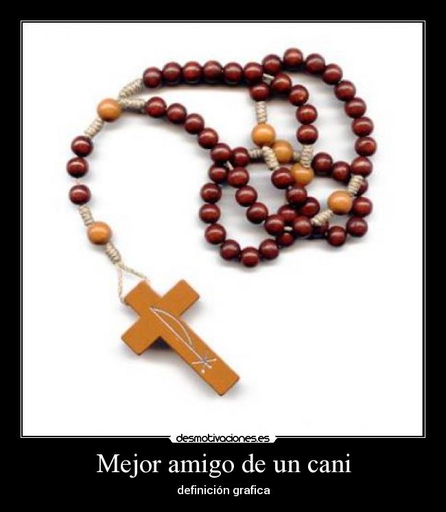 Mejor amigo de un cani -
