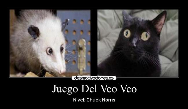 Juego Del Veo Veo - Nivel: Chuck Norris