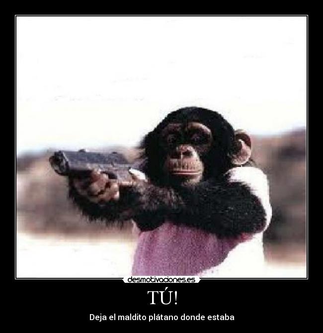 TÚ! - Deja el maldito plátano donde estaba