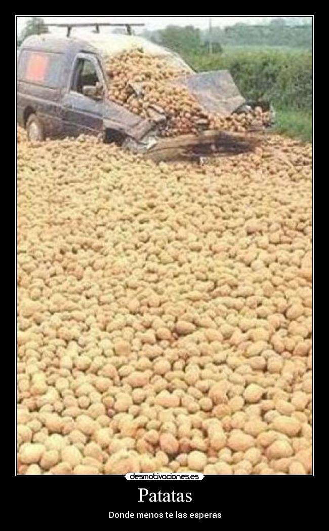 Patatas - Donde menos te las esperas