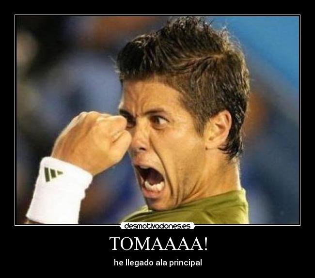 TOMAAAA! -