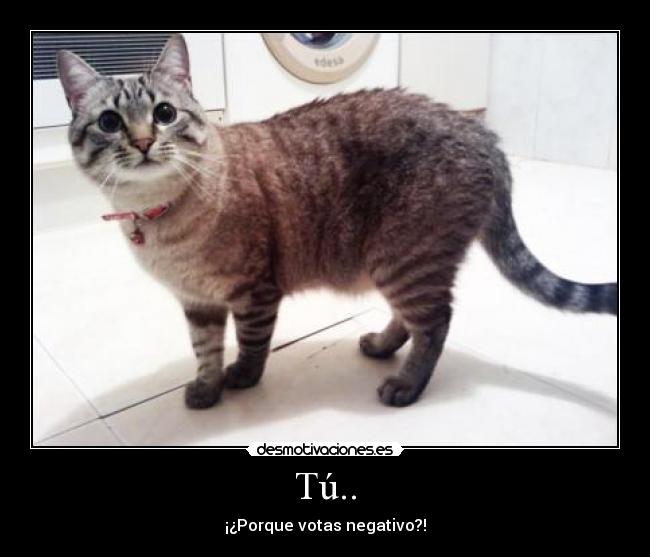 Tú.. - ¡¿Porque votas negativo?!