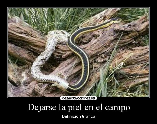 Dejarse la piel en el campo - 