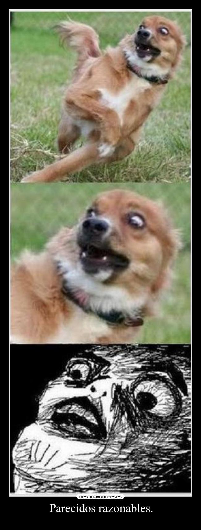 Parecidos razonables. -