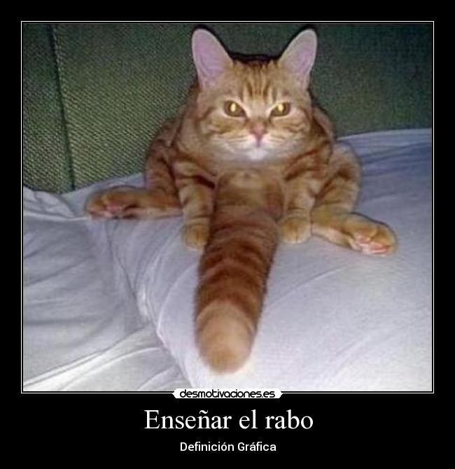 Enseñar el rabo -