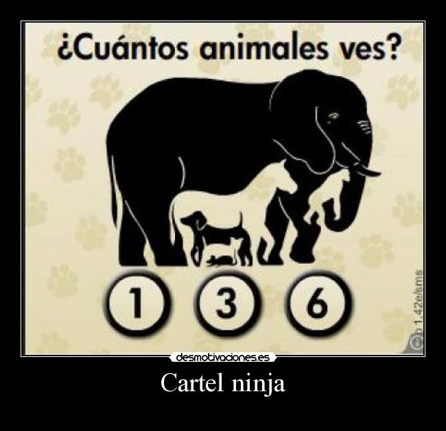Cartel ninja -