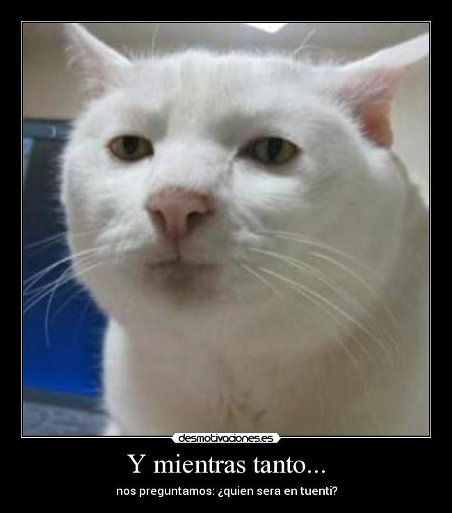 Y mientras tanto... -