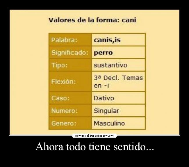 Ahora todo tiene sentido... - 