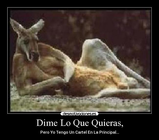 Dime Lo Que Quieras, - 