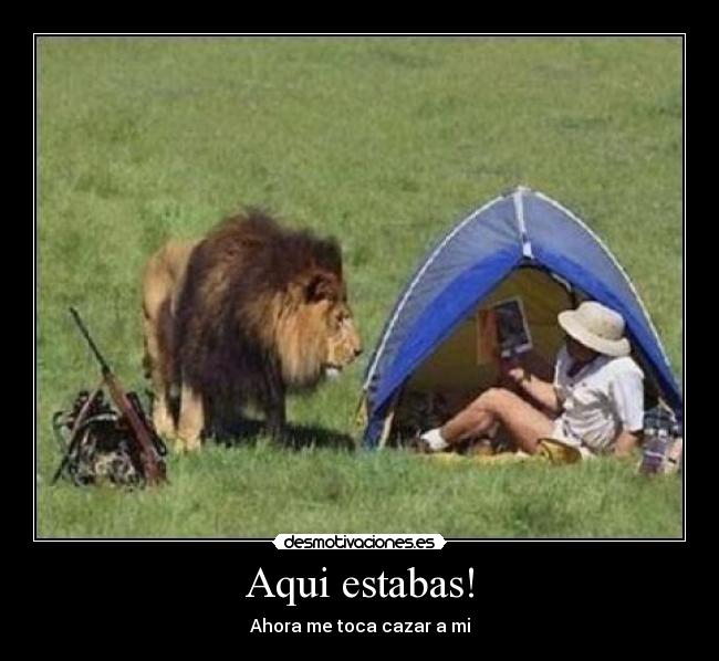 Aqui estabas! - Ahora me toca cazar a mi