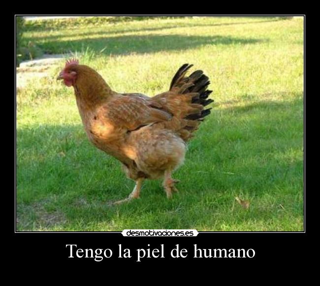 Tengo la piel de humano -