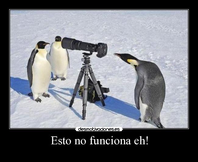 Esto no funciona eh! -