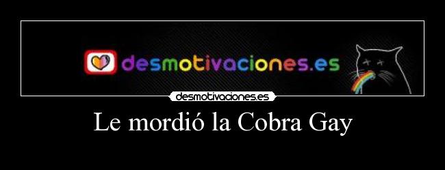 Le mordió la Cobra Gay -