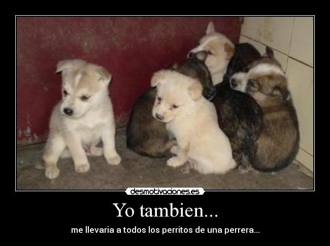Yo tambien... - 