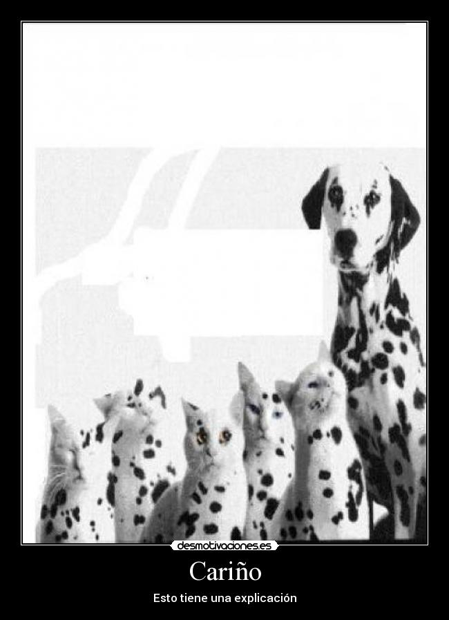 Cariño -