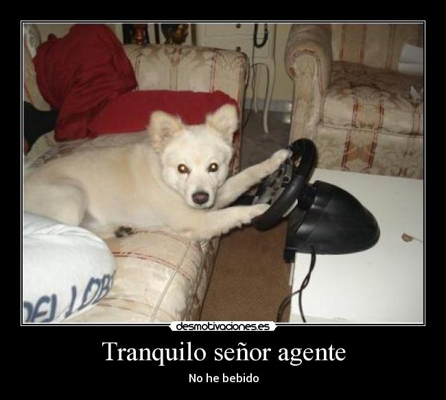 Tranquilo señor agente - No he bebido
