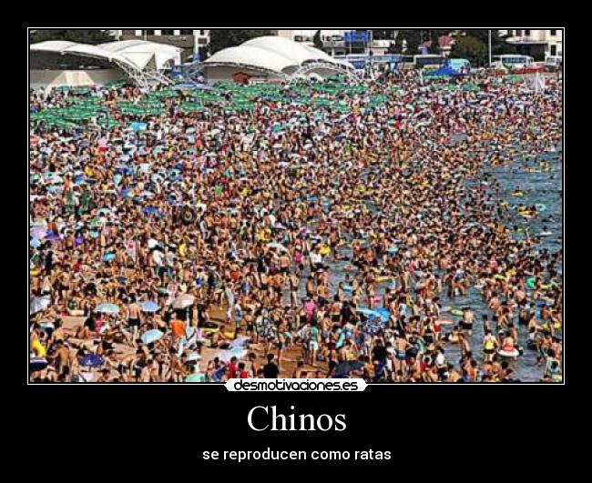 Chinos -