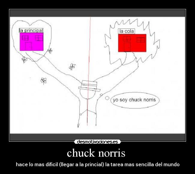 chuck norris -