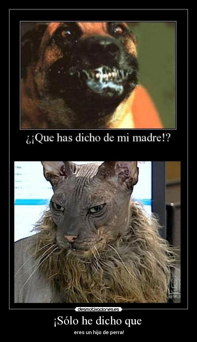 ¡Sólo he dicho que -