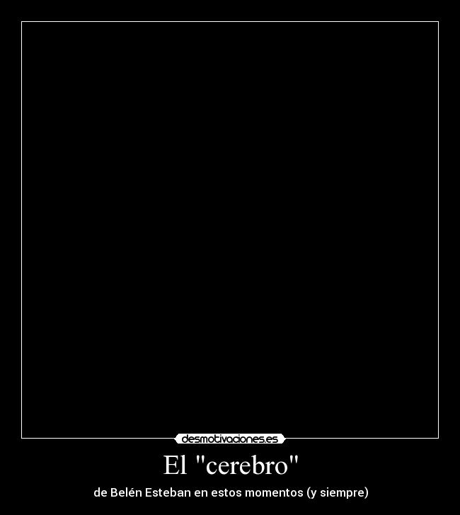 El cerebro - 