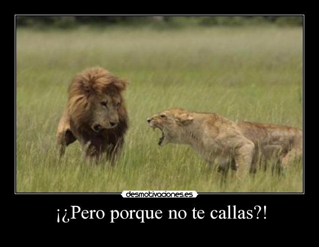 ¡¿Pero porque no te callas?! -