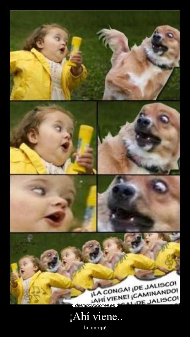 ¡Ahí viene.. - la conga!