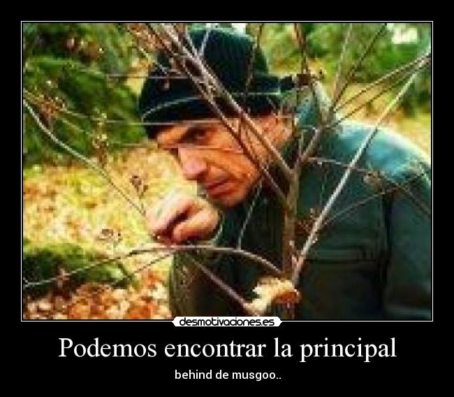 Podemos encontrar la principal -