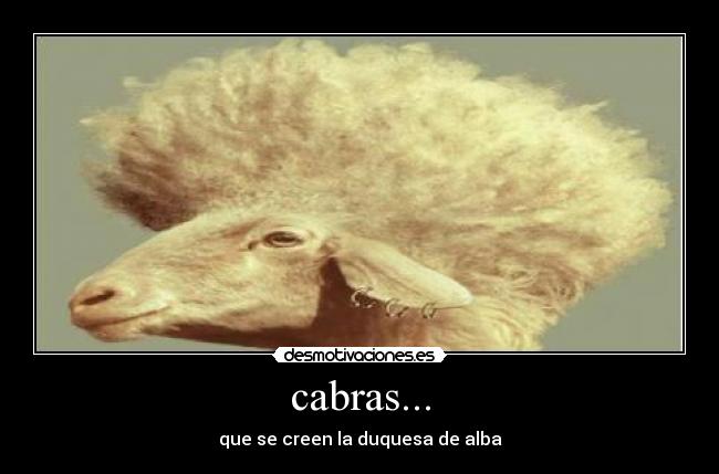 cabras... - que se creen la duquesa de alba