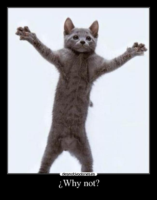 ¿Why not? - 