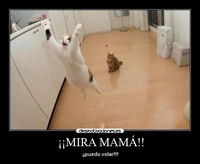 ¡¡MIRA MAMÁ!! - ¡¡puedo volar!!!!