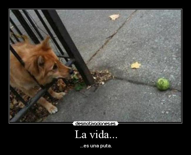 La vida... -