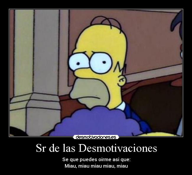 Sr de las Desmotivaciones - Se que puedes oirme asi que:
Miau, miau miau miau, miau