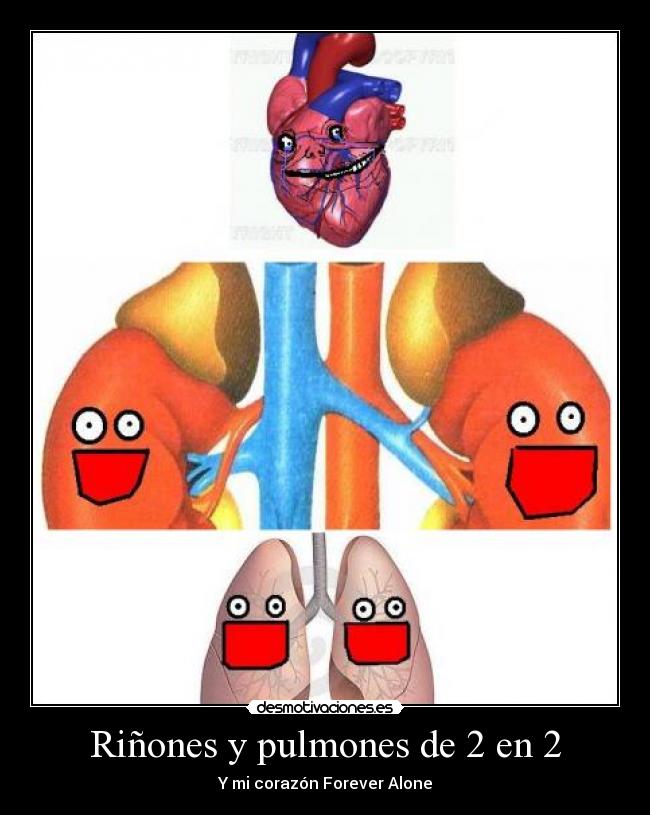 Riñones y pulmones de 2 en 2 - Y mi corazón Forever Alone
