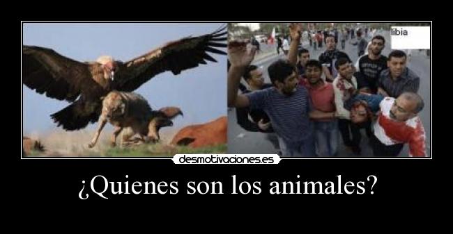 ¿Quienes son los animales? - 
