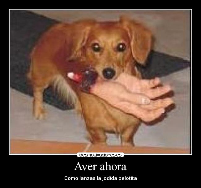 Aver ahora - Como lanzas la jodida pelotita