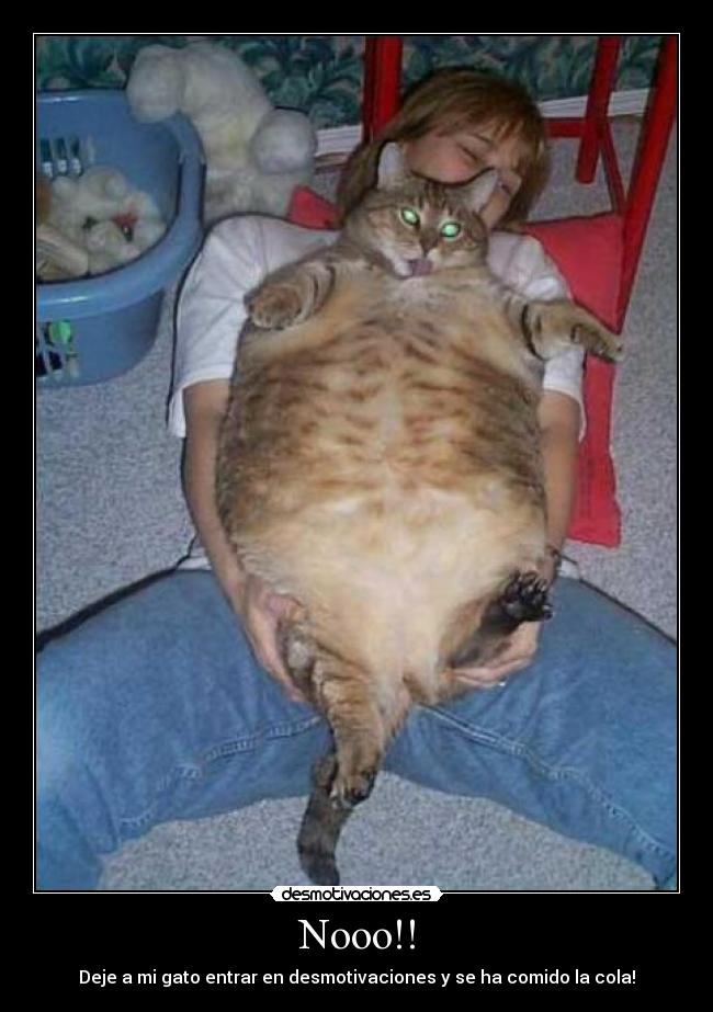 carteles  desmotivaciones