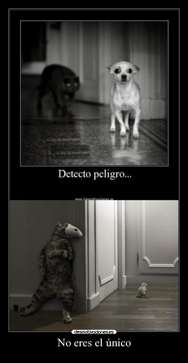 No eres el único -