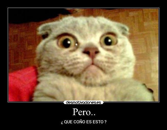 Pero.. - ¿ QUE COÑO ES ESTO ?