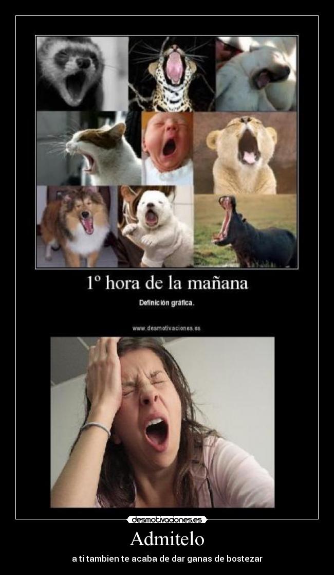 Admitelo - a ti tambien te acaba de dar ganas de bostezar