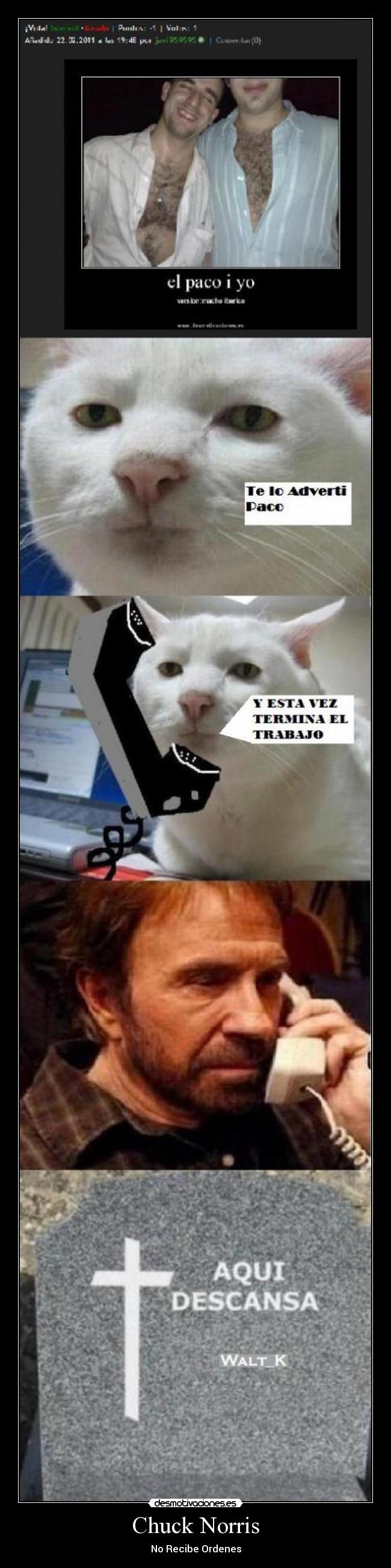 Chuck Norris -