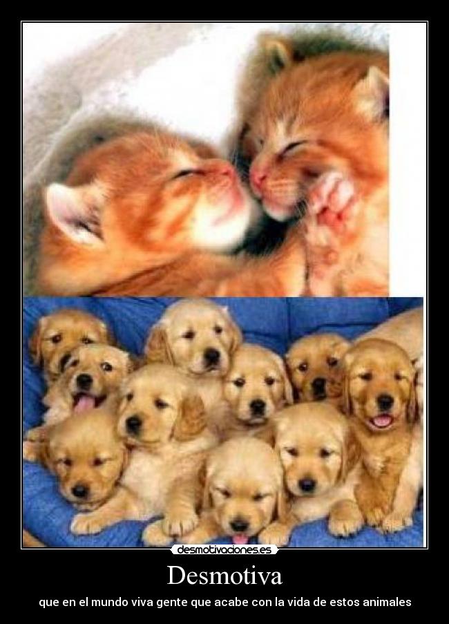 carteles desmotiva desmotivaciones