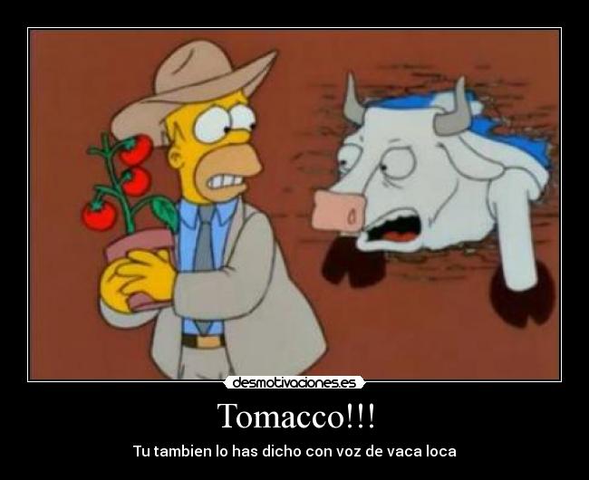 Tomacco!!! -
